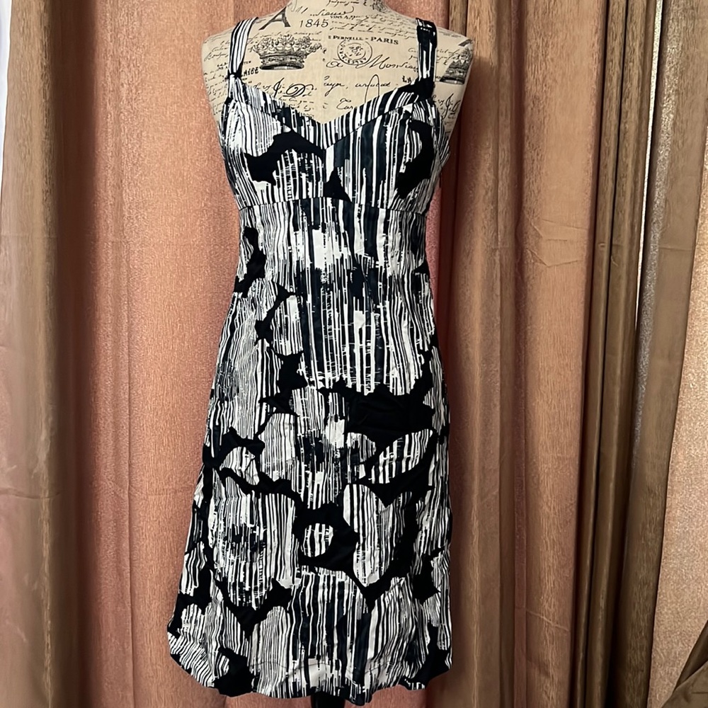 New York & Company Navy Blue and White Dress